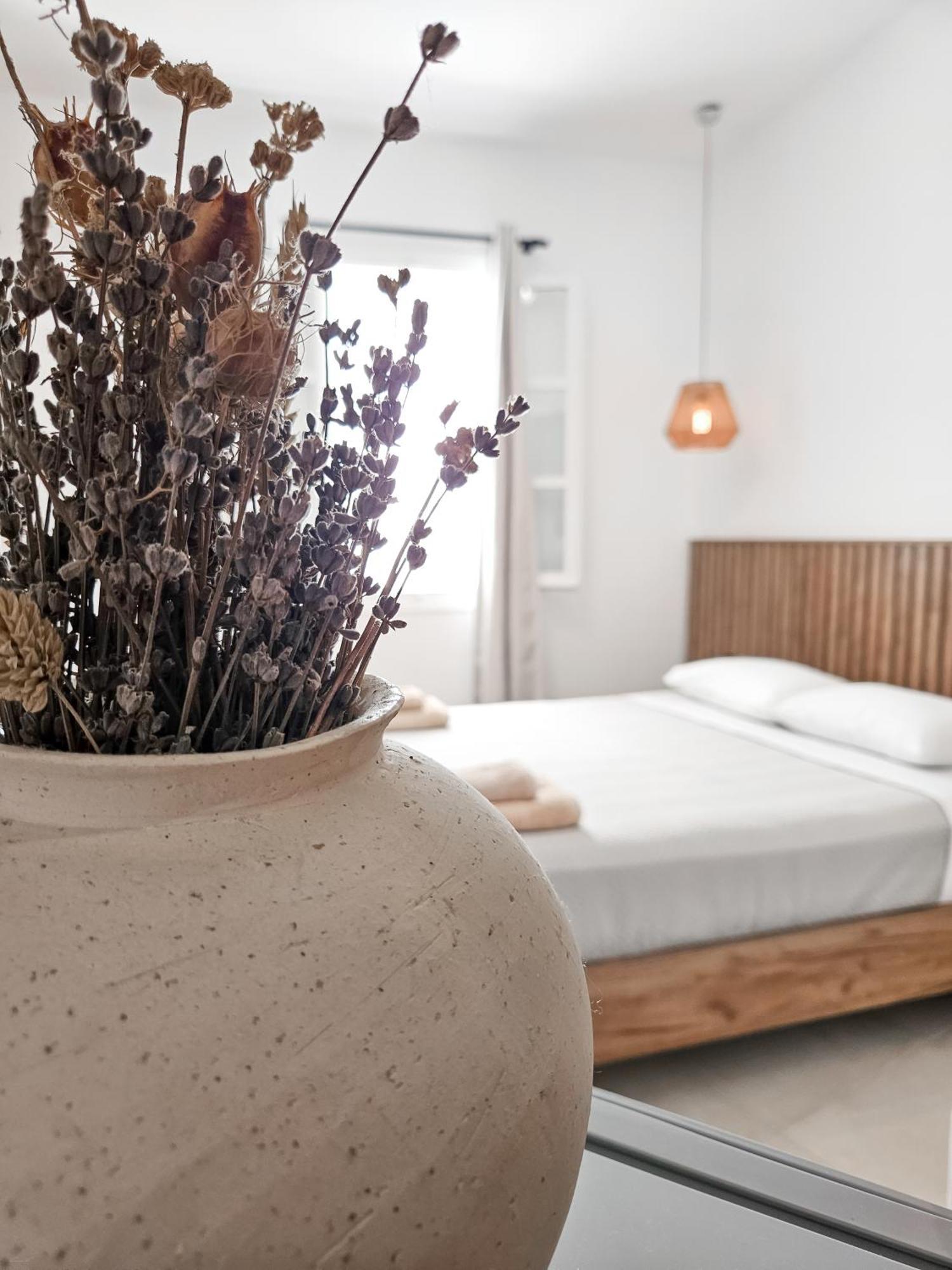Oikia Suites Mykonos Mykonos Town Exteriör bild